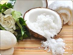Coconut 